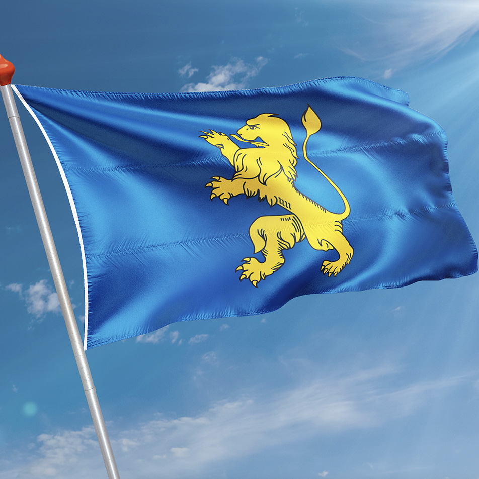 Vlag Groenlo