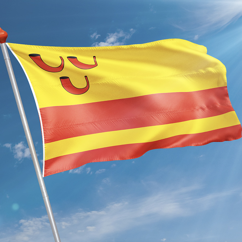 Vlag Haelen