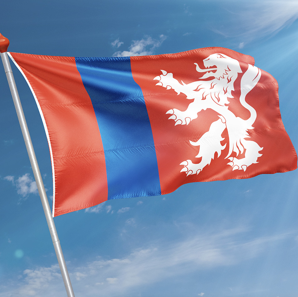Vlag Heenvliet