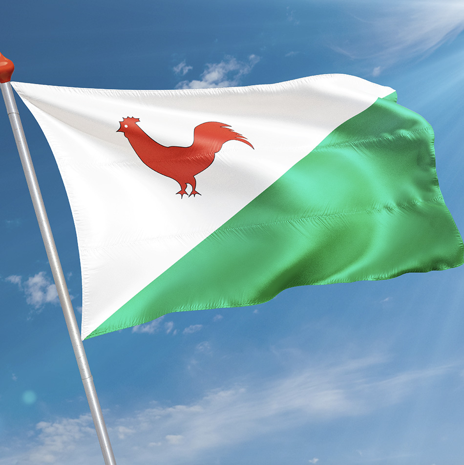 Vlag Heinkenszand