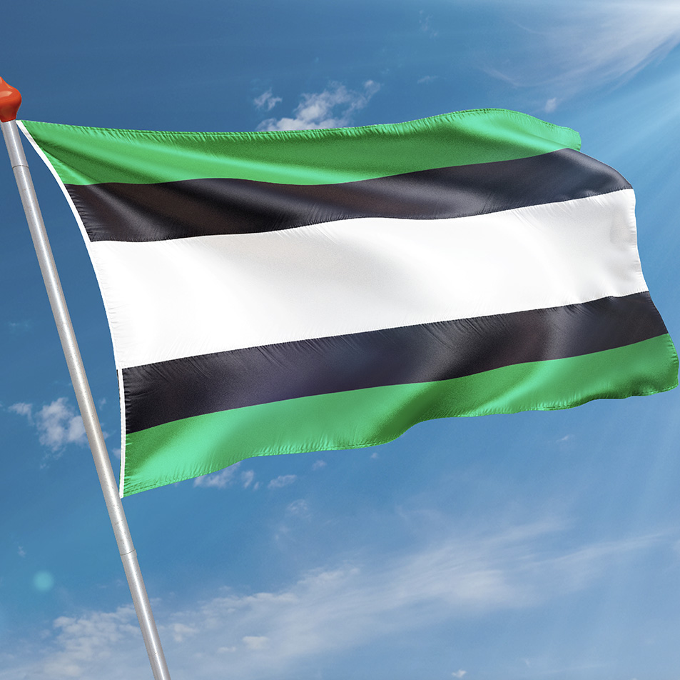 Vlag Heino