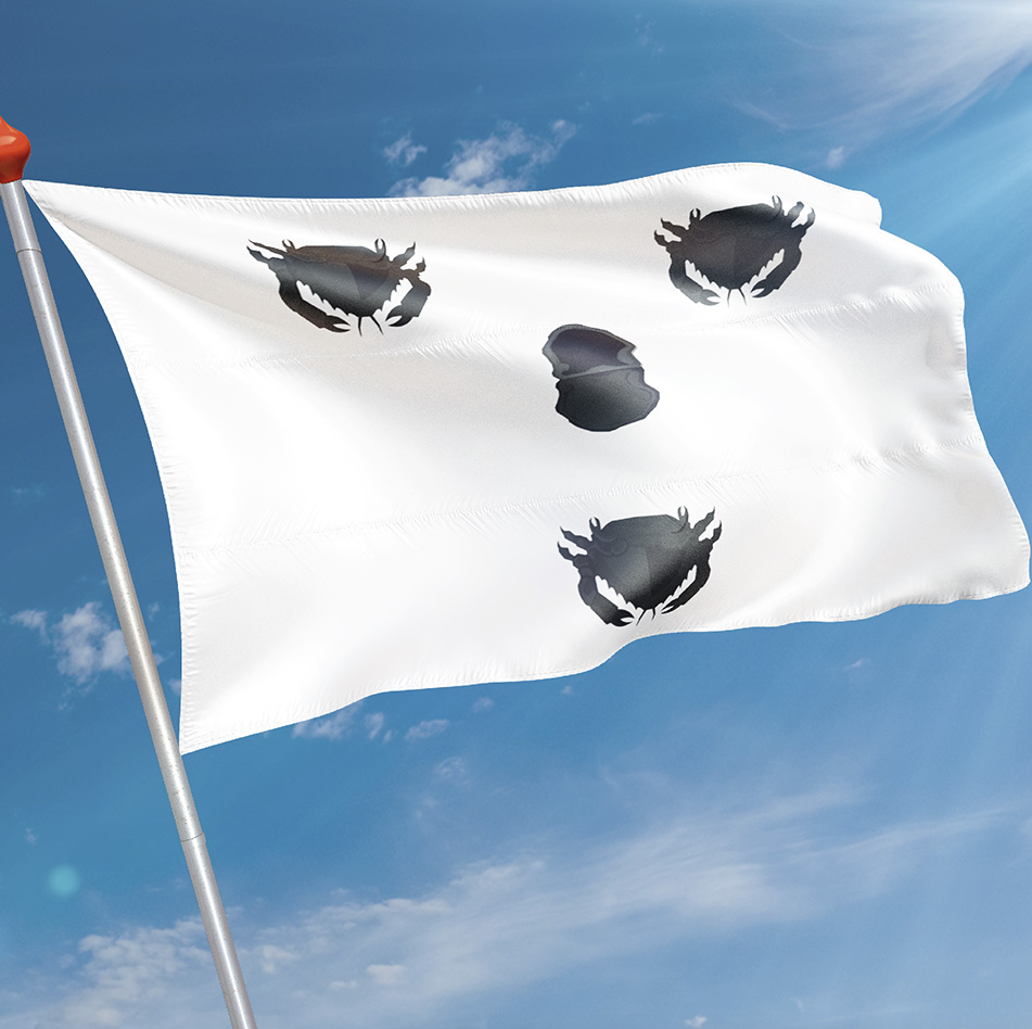 Vlag Herkingen