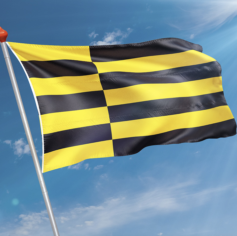 Vlag Horst