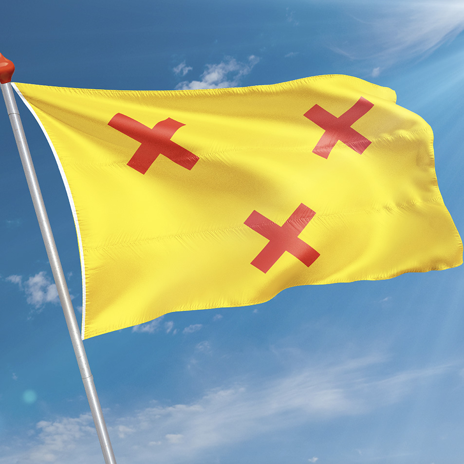 Vlag Kamerik