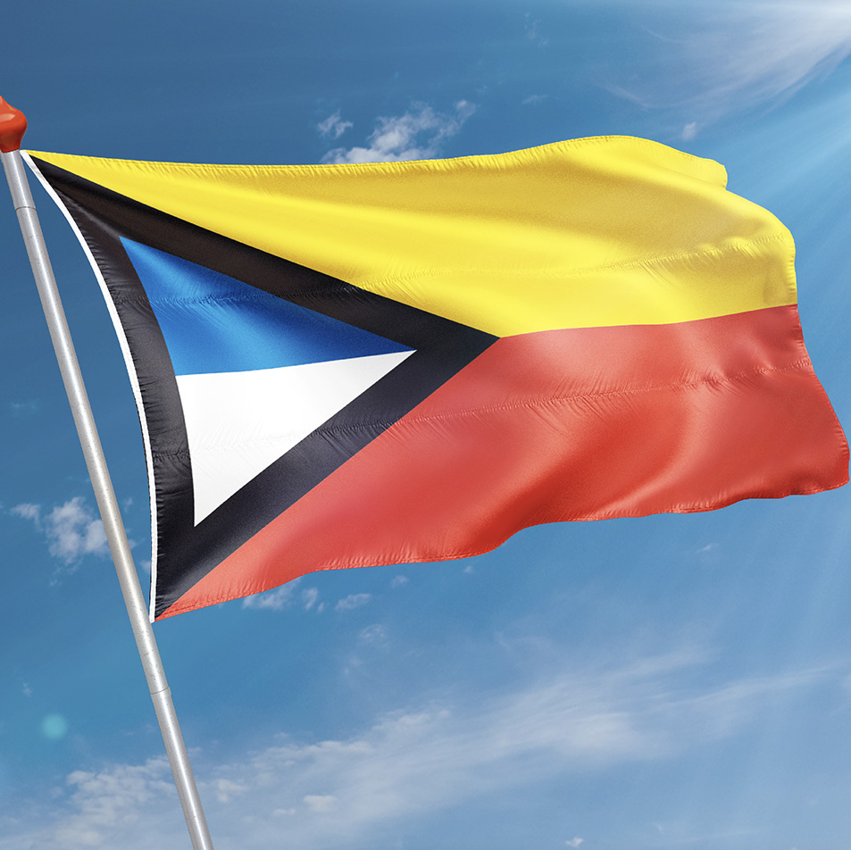 Vlag Klimmen