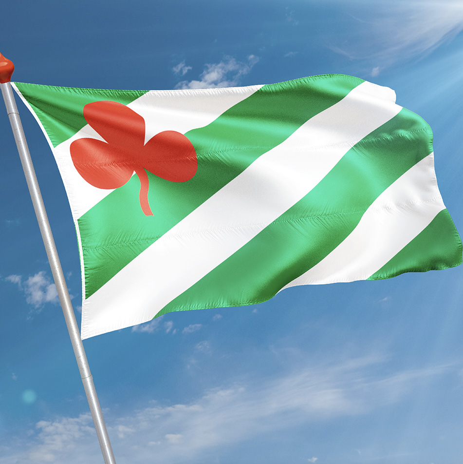 Vlag Langezwaag