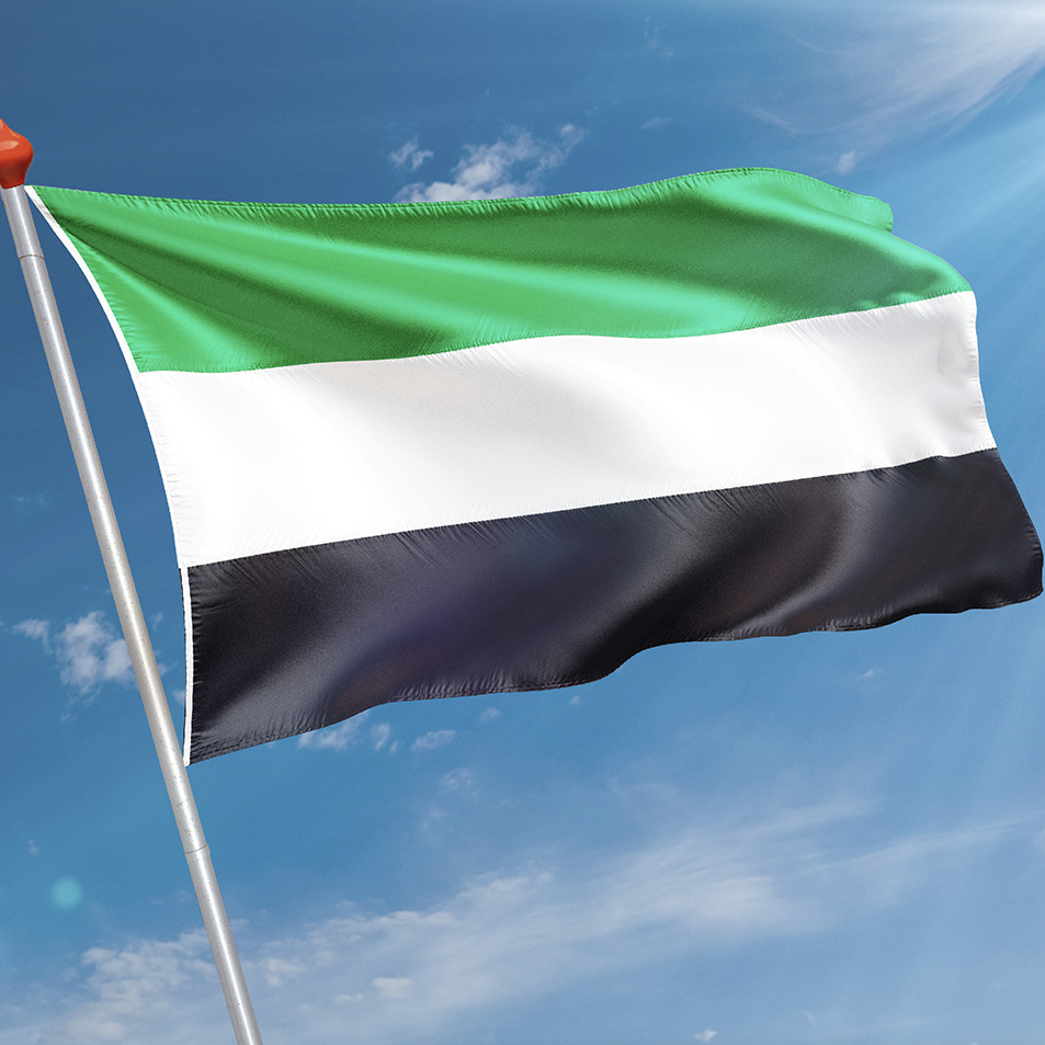 Vlag Leek