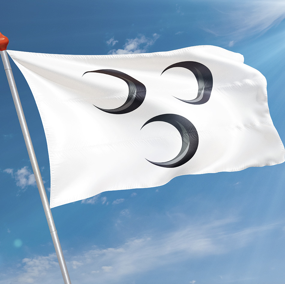 Vlag Lekkerkerk