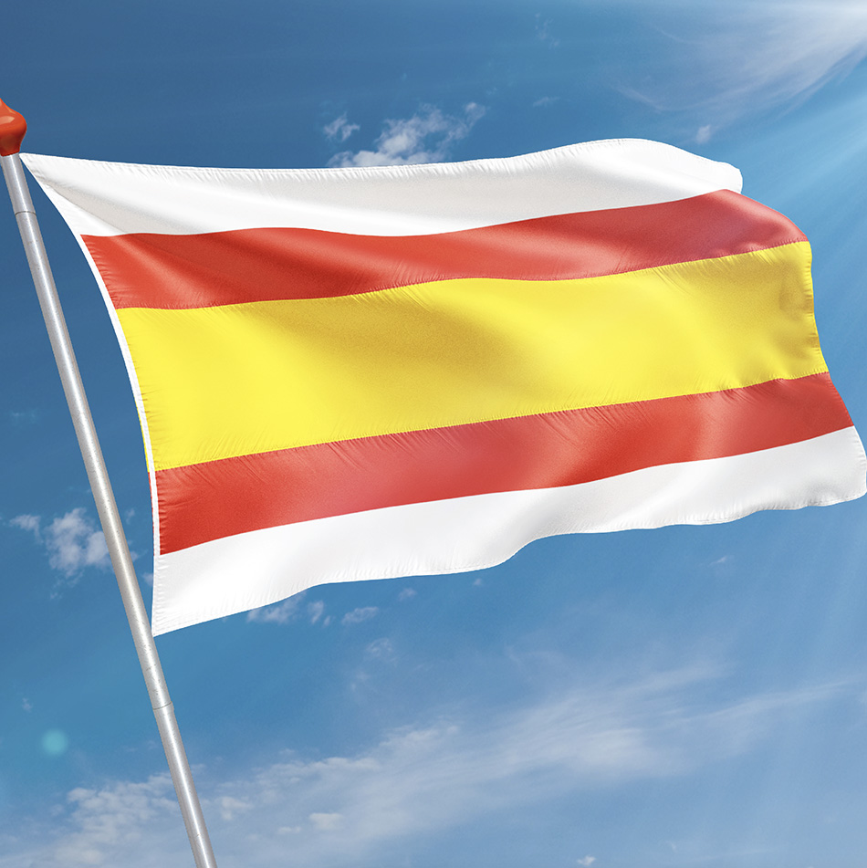 Vlag Lemmer
