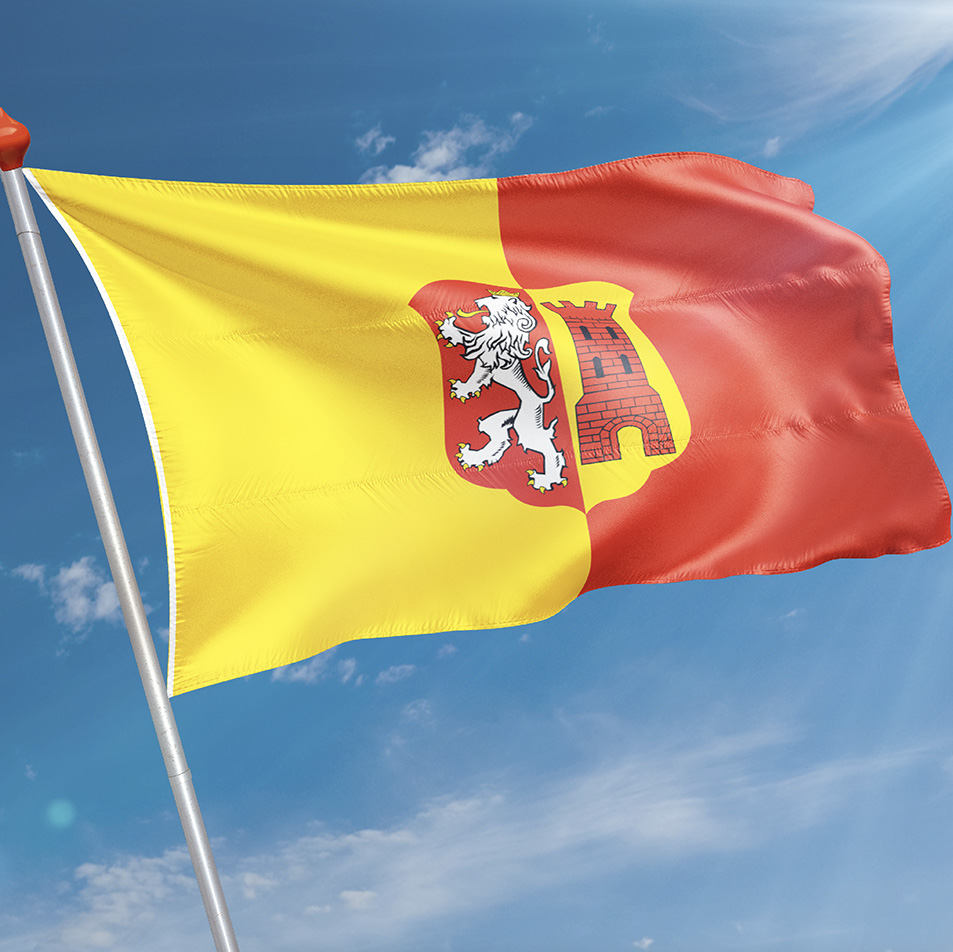 Vlag Lichtenvoorde
