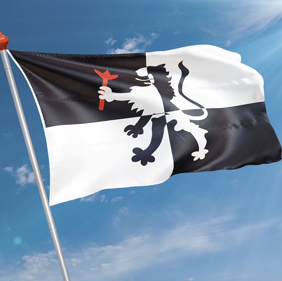 Vlag Limmen
