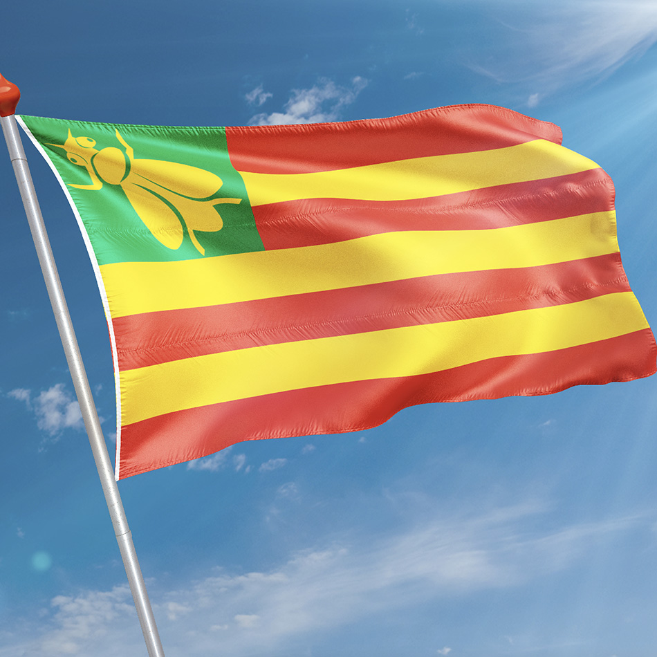Vlag Lippenhuizen