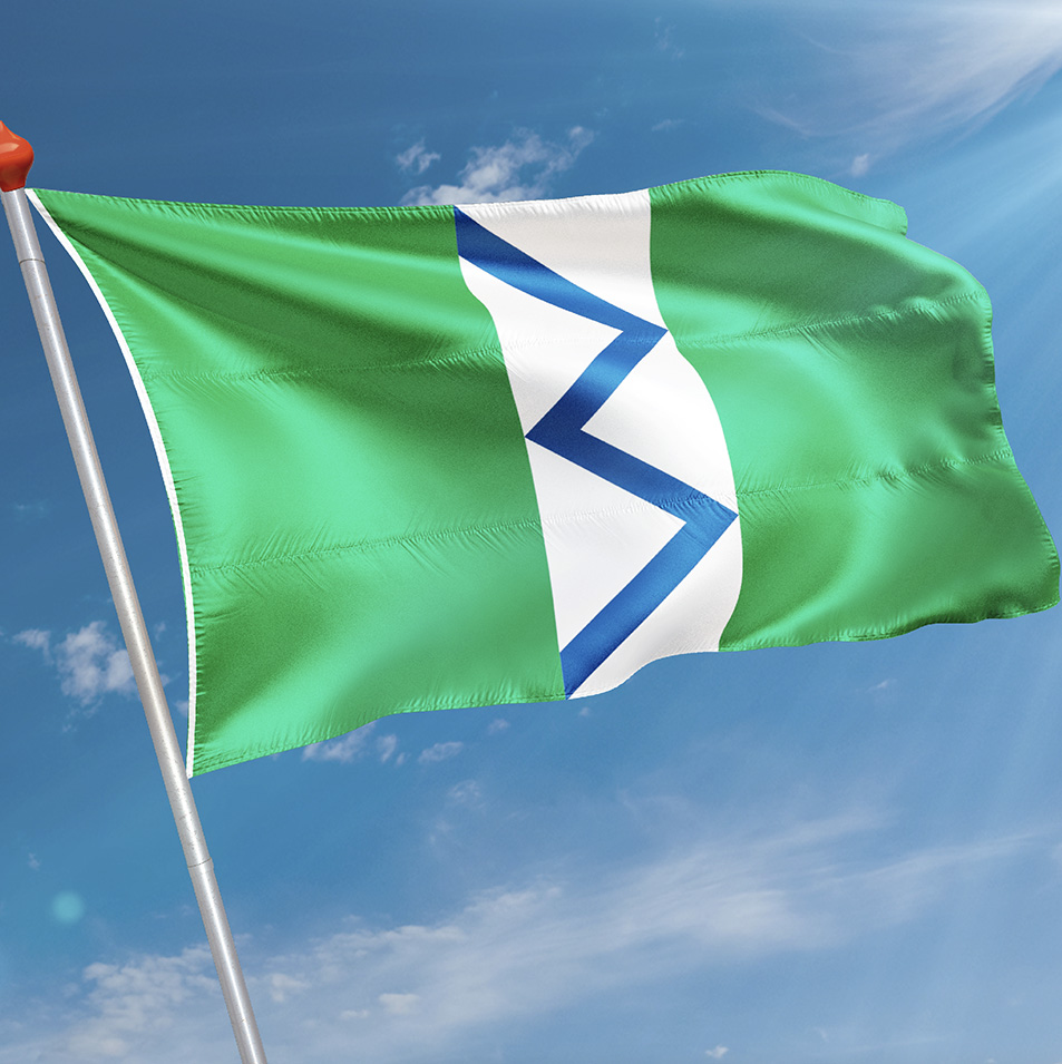 Vlag Maasland