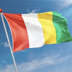 Alternative view of Vlag Markelo