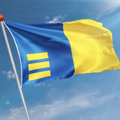 Alternative view of Vlag Meijel