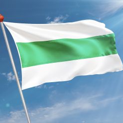 Alternative view of Vlag Monnickendam