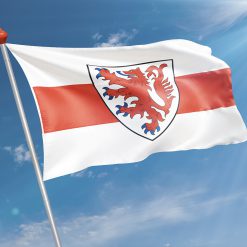 Alternative view of Vlag Naaldwijk