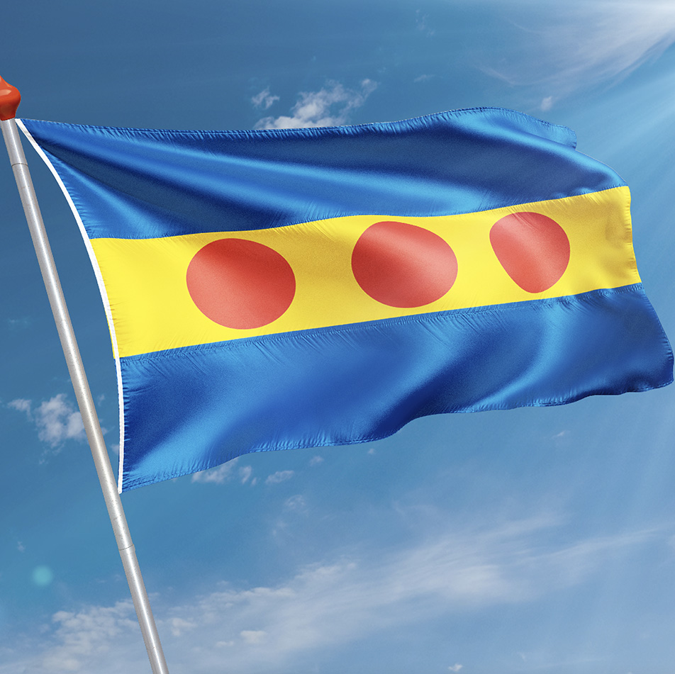 Vlag Neede