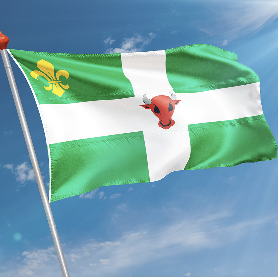 Vlag Nijland