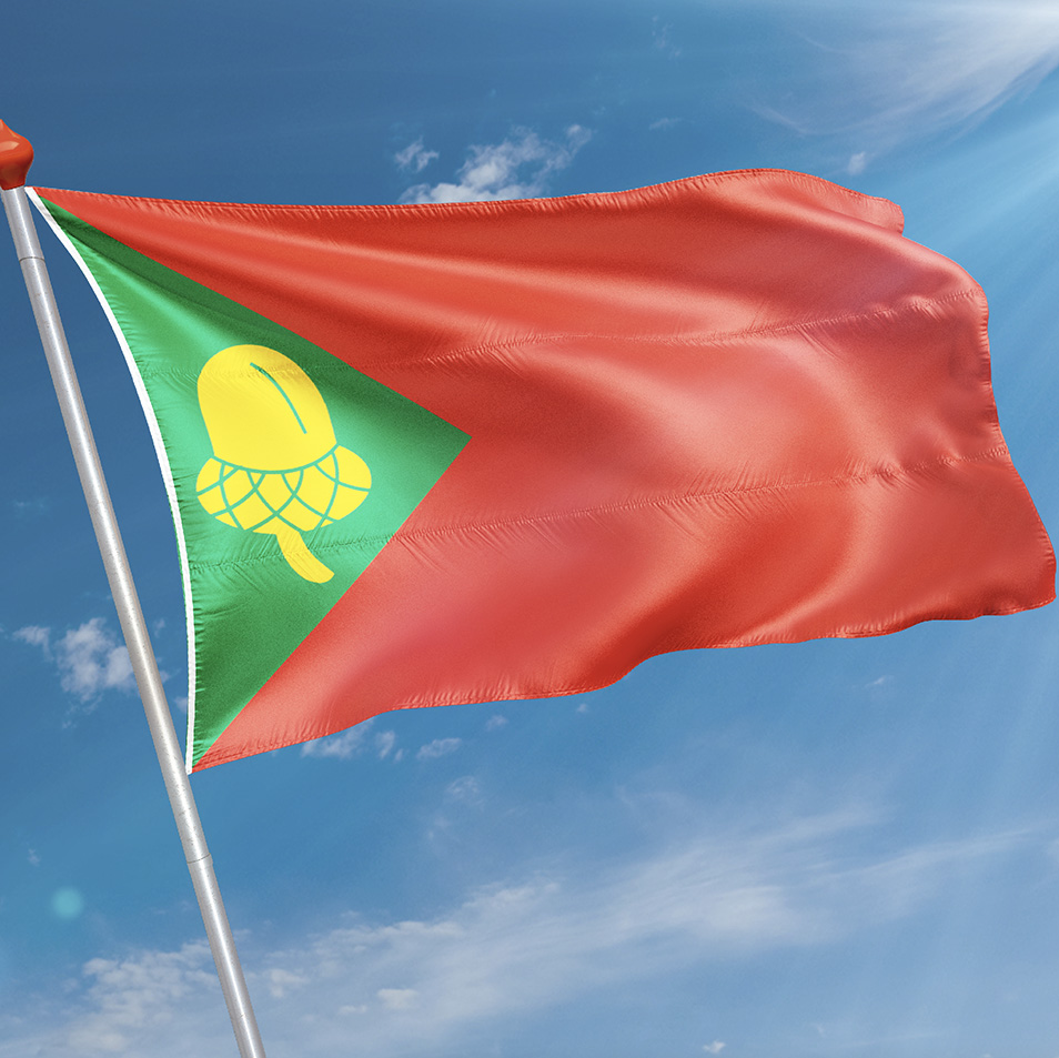 Vlag Noordbergum