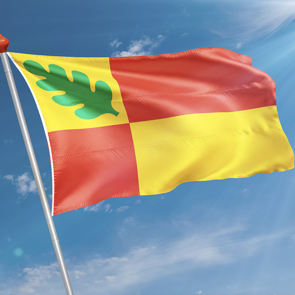 Vlag Oudega