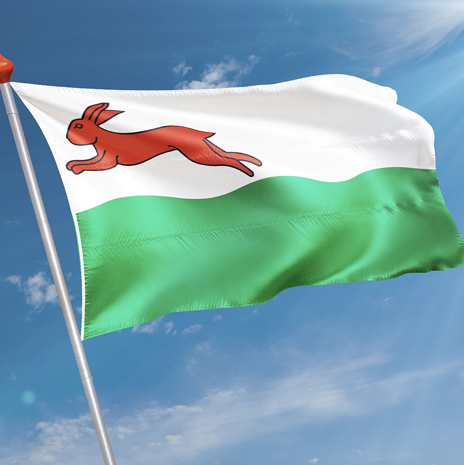 Vlag Oudehaske