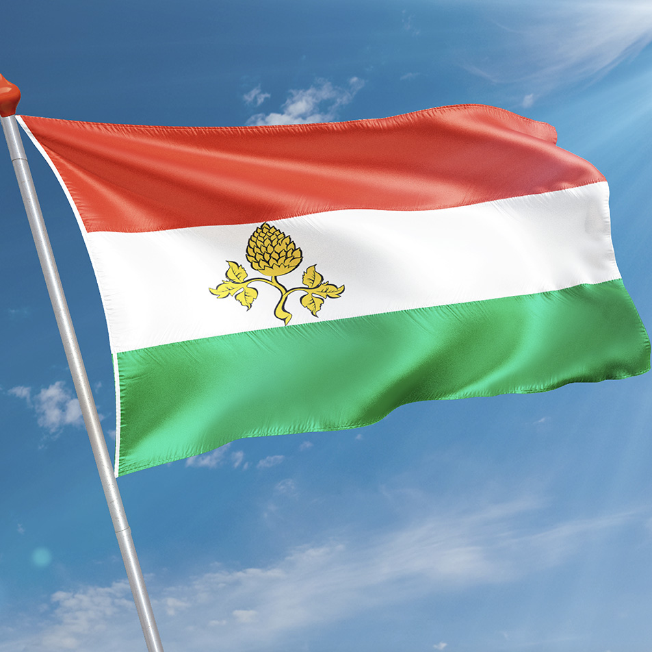 Vlag Peize