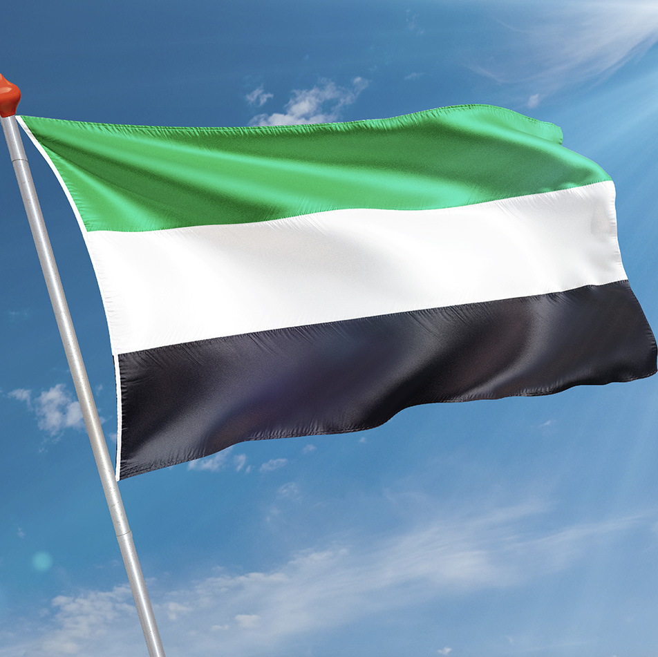 Vlag Raamsdonk