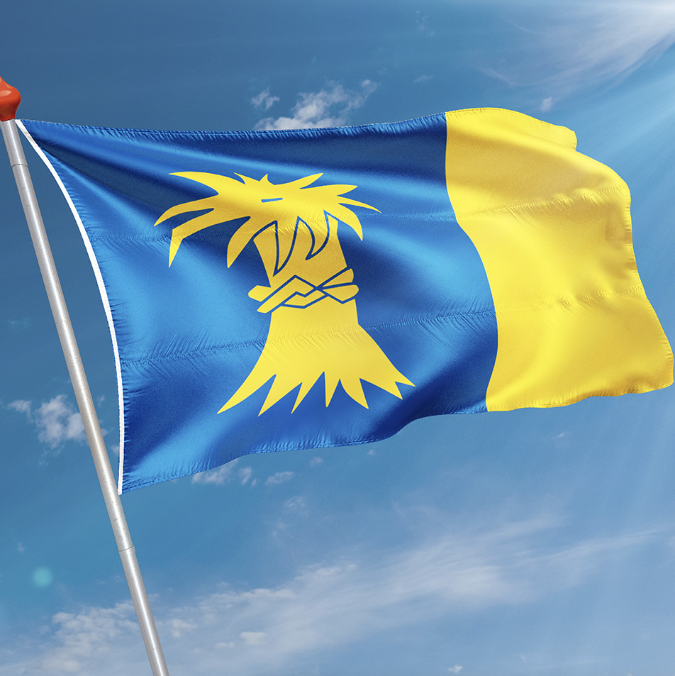 Vlag Reduzum