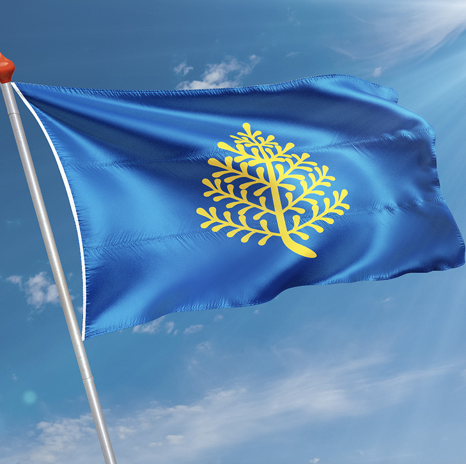 Vlag Rijssen
