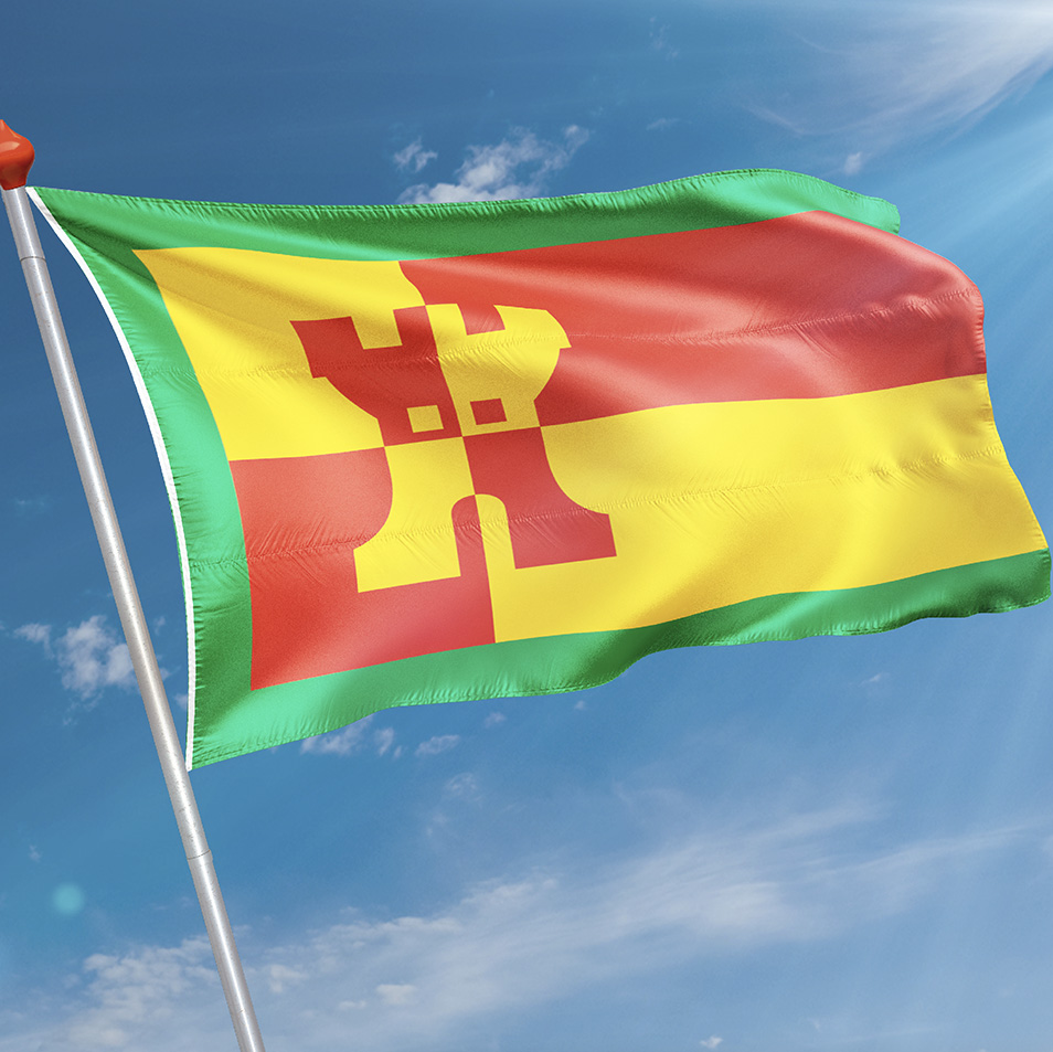 Vlag Rinsumageest