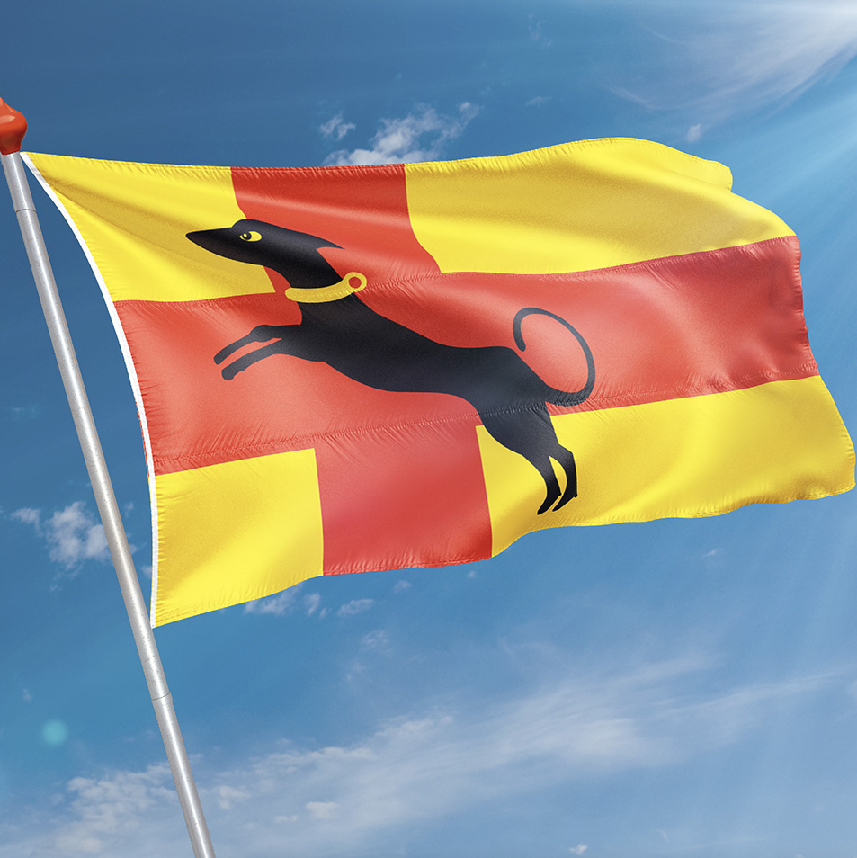 Vlag Ruurlo
