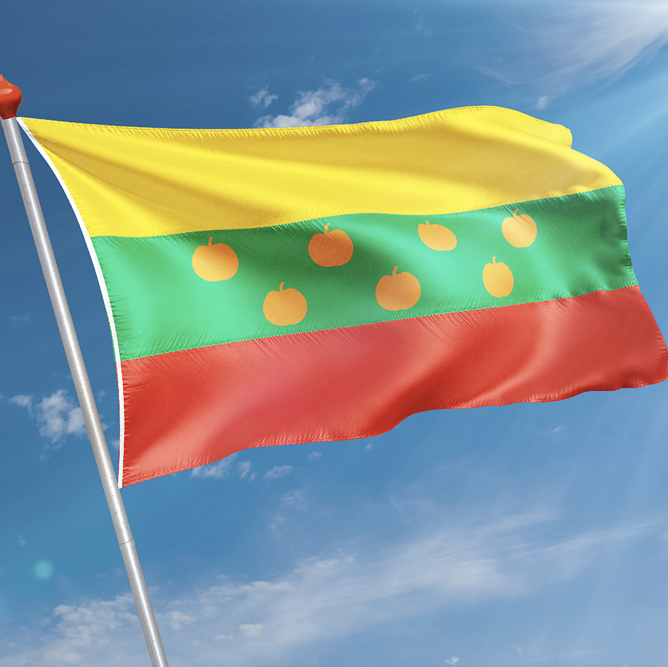 Vlag 's-Gravendeel