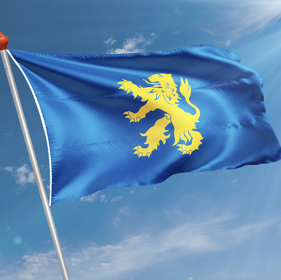 Vlag 's-Gravenzande