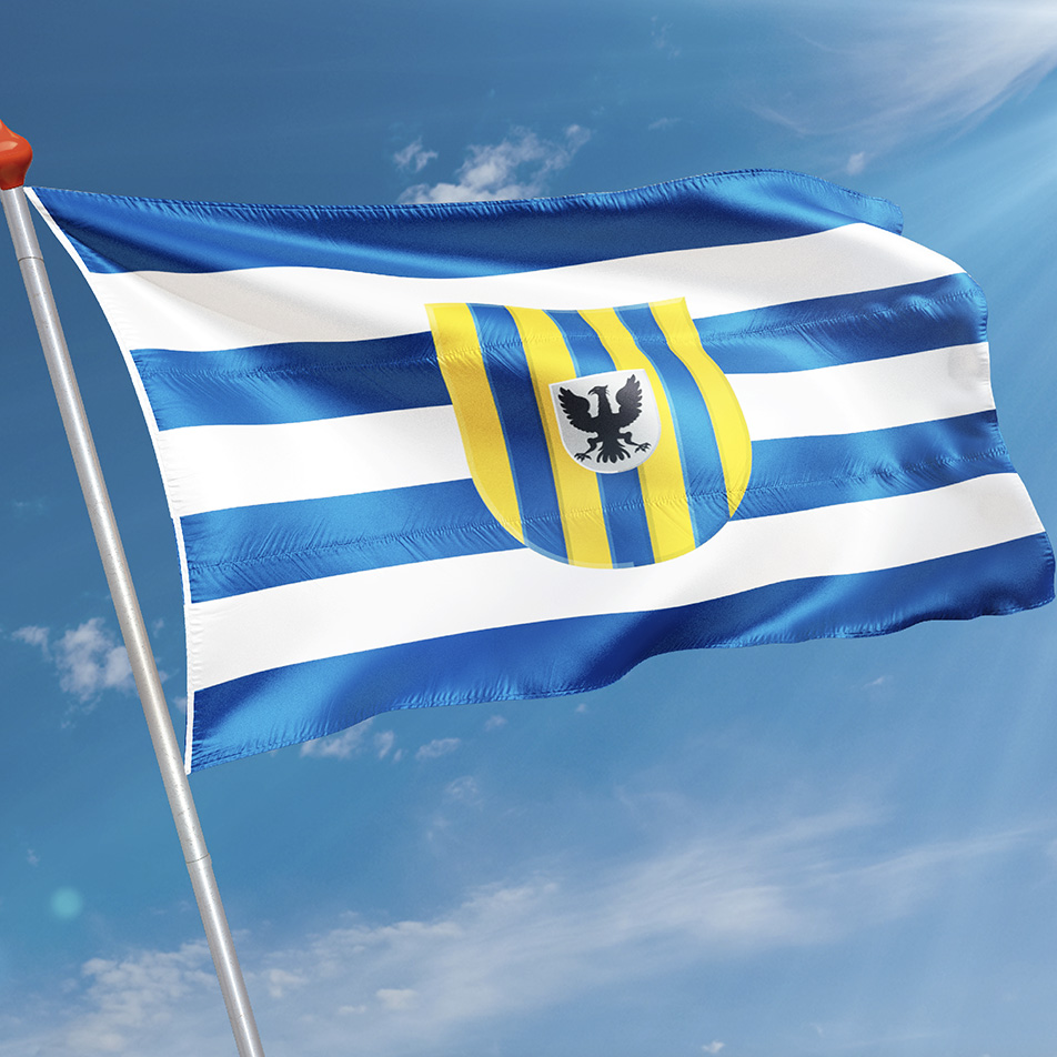 Vlag 's-Heer Arendskerke