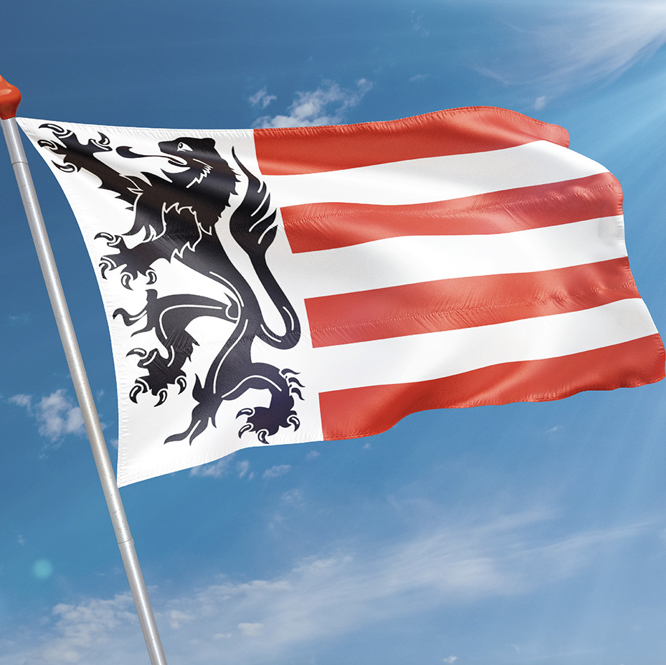 Vlag Sas van Gent
