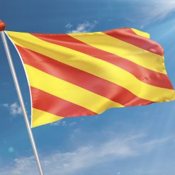 Alternative view of Vlag Sassenheim