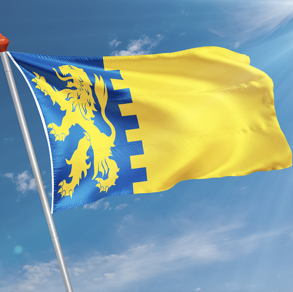 Vlag Schelluinen
