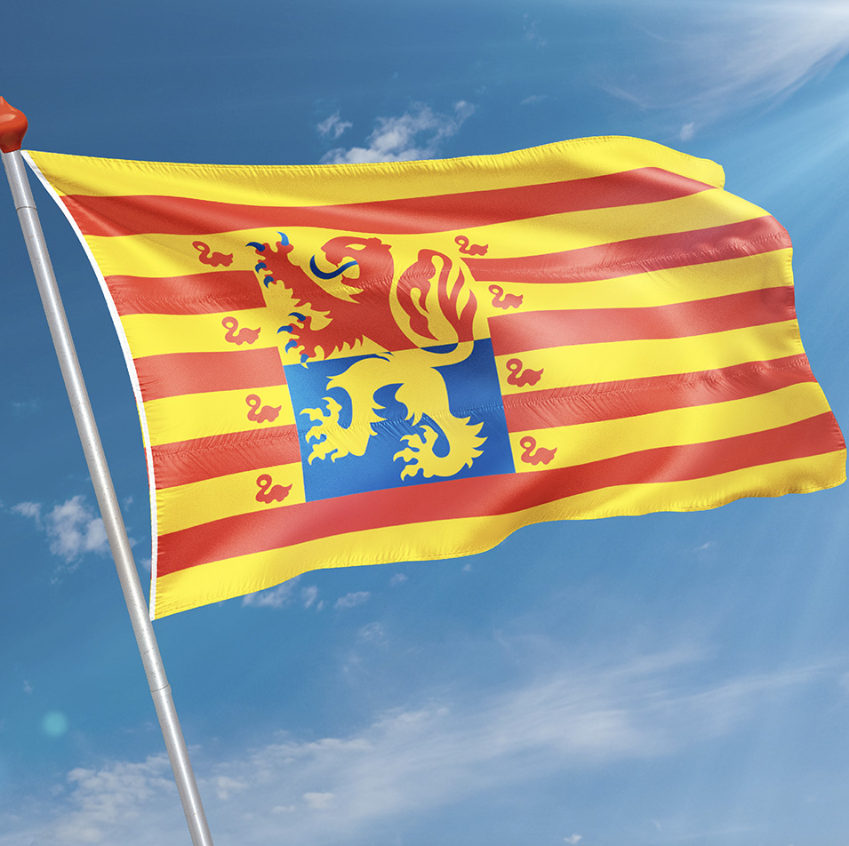 Vlag Schoorl