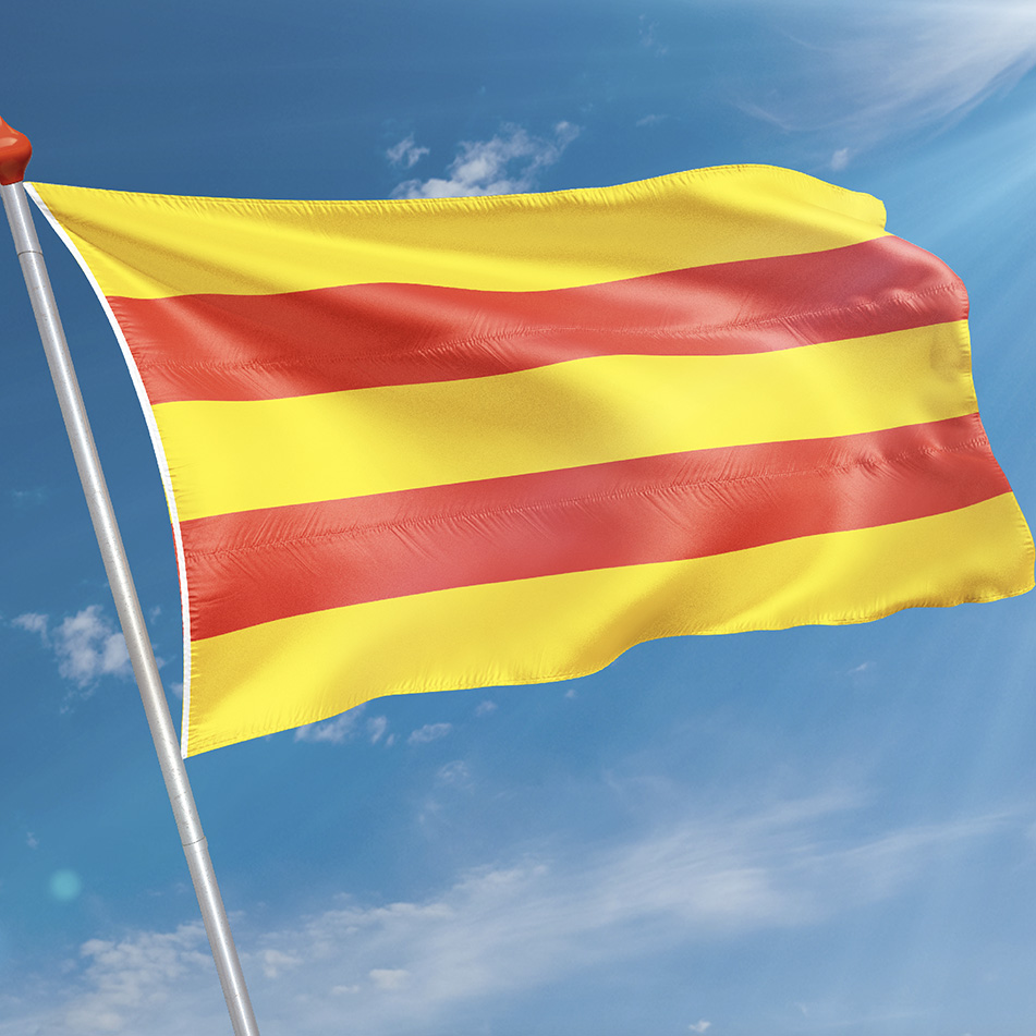 Vlag Stad aan 't Haringvliet
