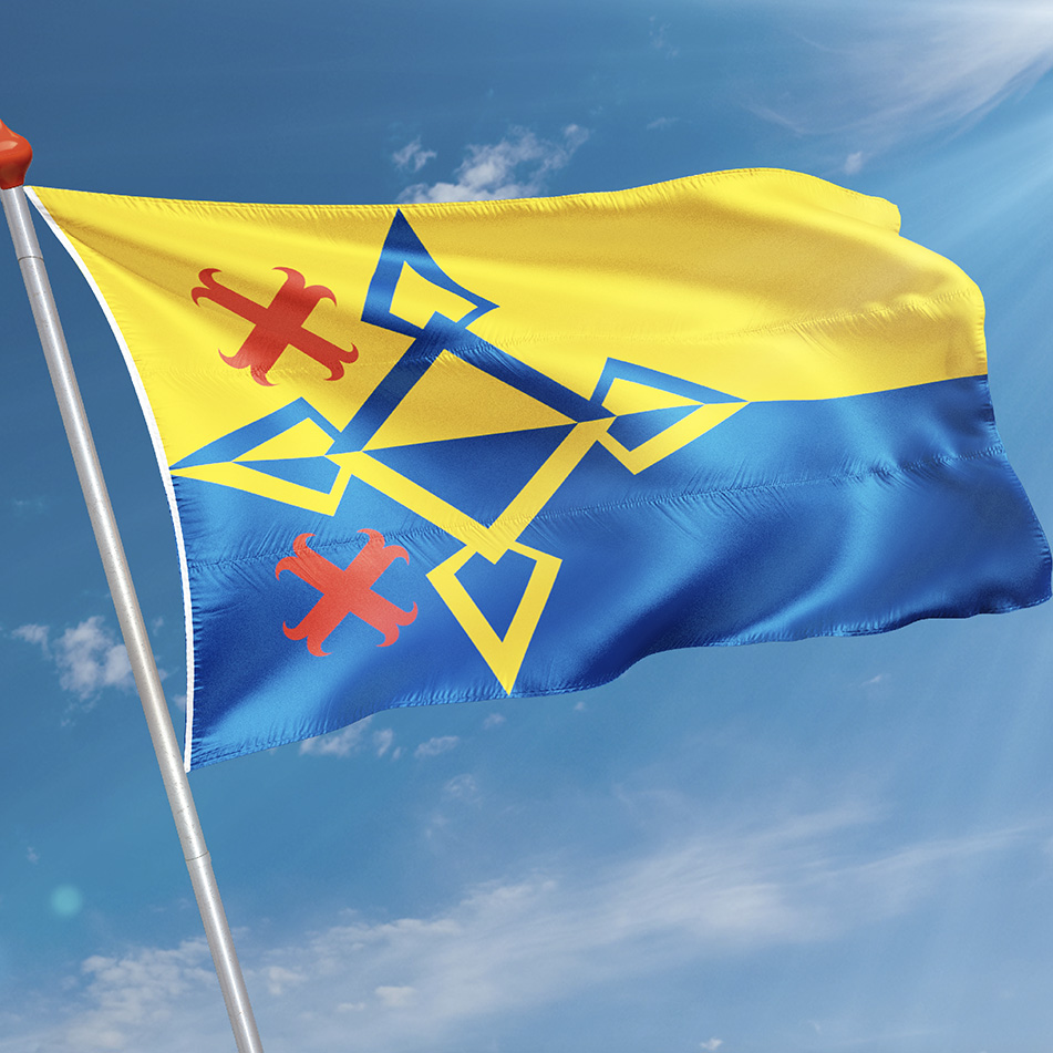 Vlag Steenwijk