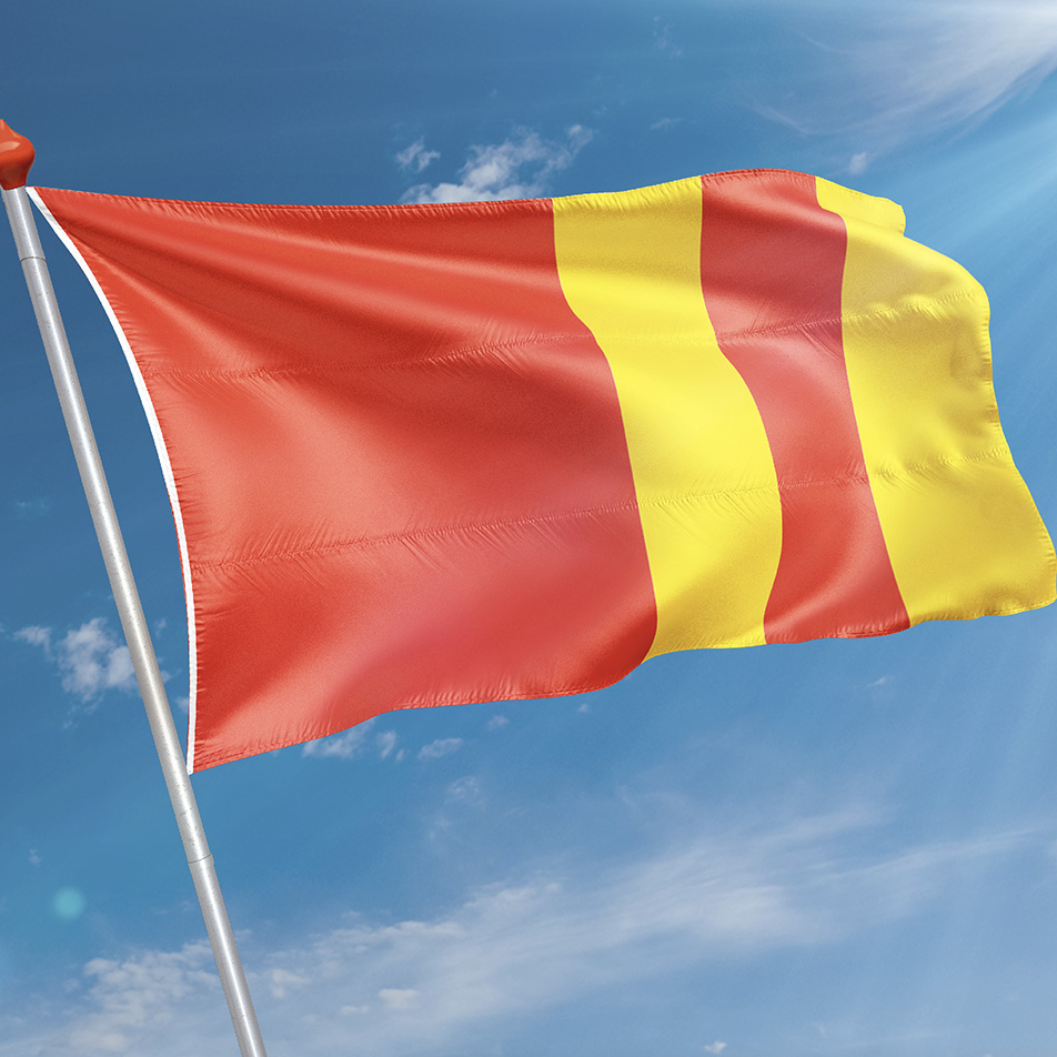 Vlag Ter Aar