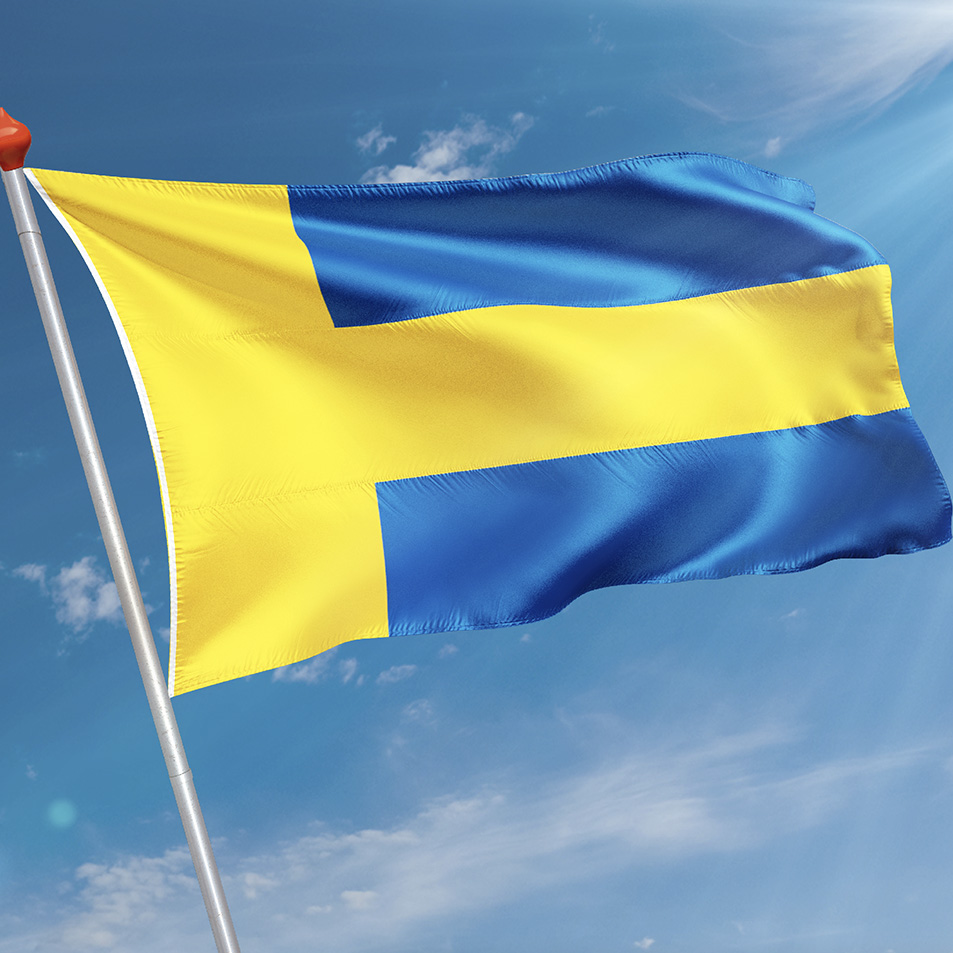 Vlag Terheijden