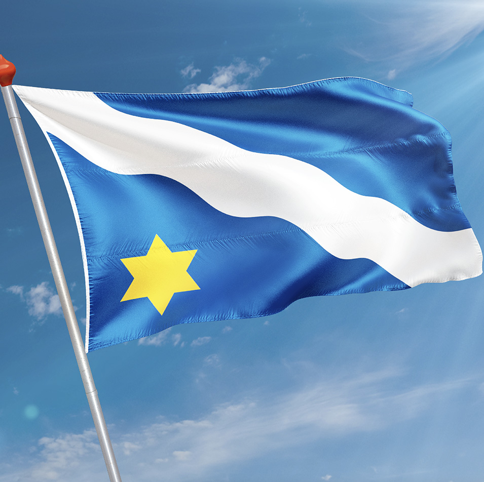 Vlag Ternaard
