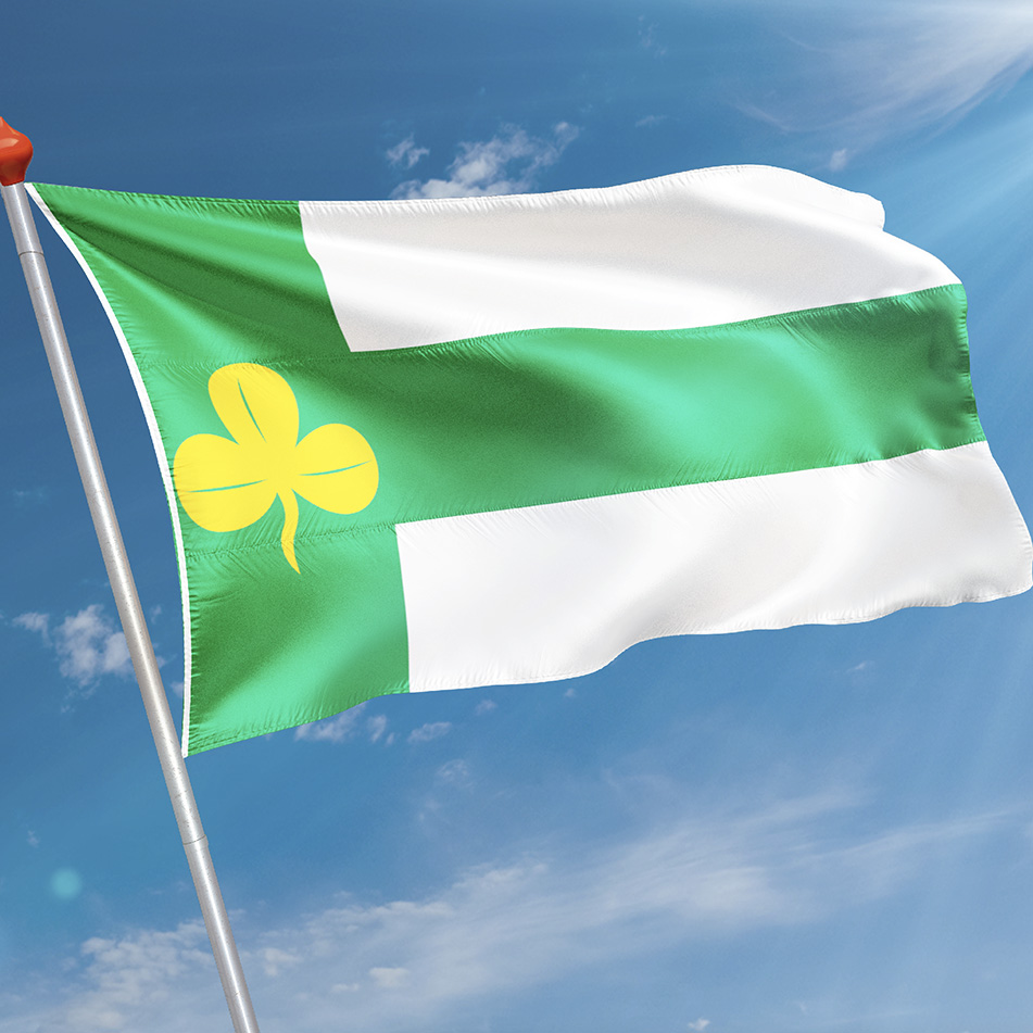 Vlag Terwispel