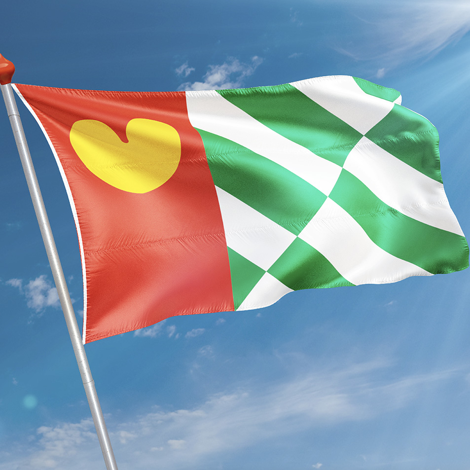 Vlag Tijnje