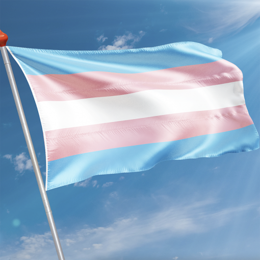 Vlag Transgender