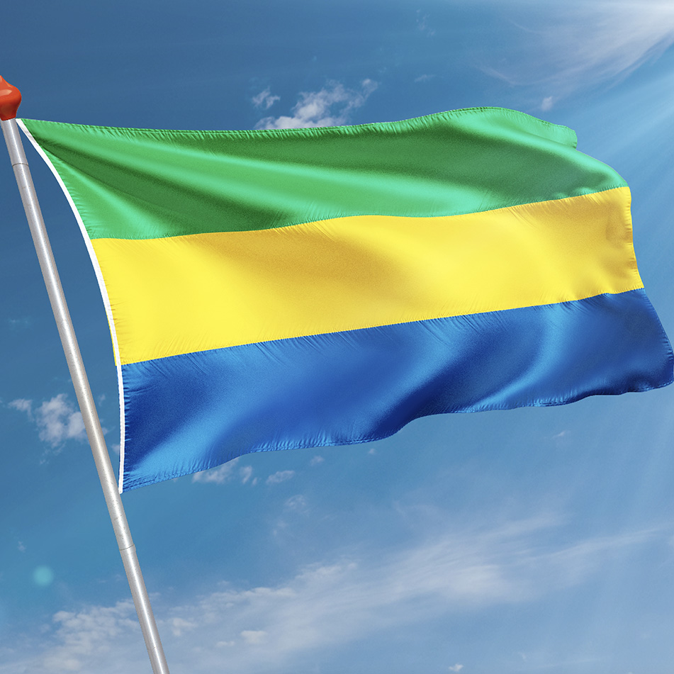 Vlag Uithuizen