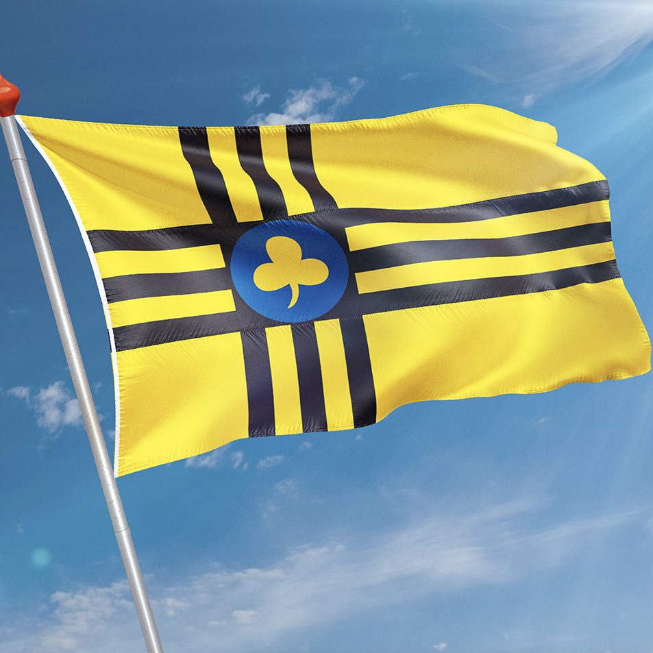 Vlag Vledder
