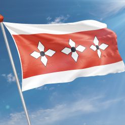 Alternative view of Vlag Vries